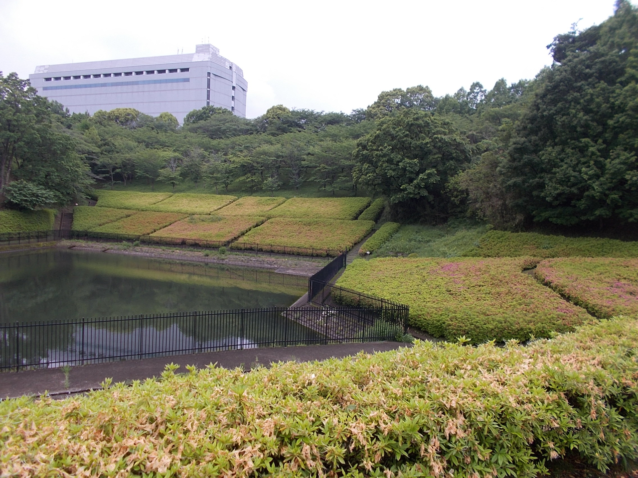 ②