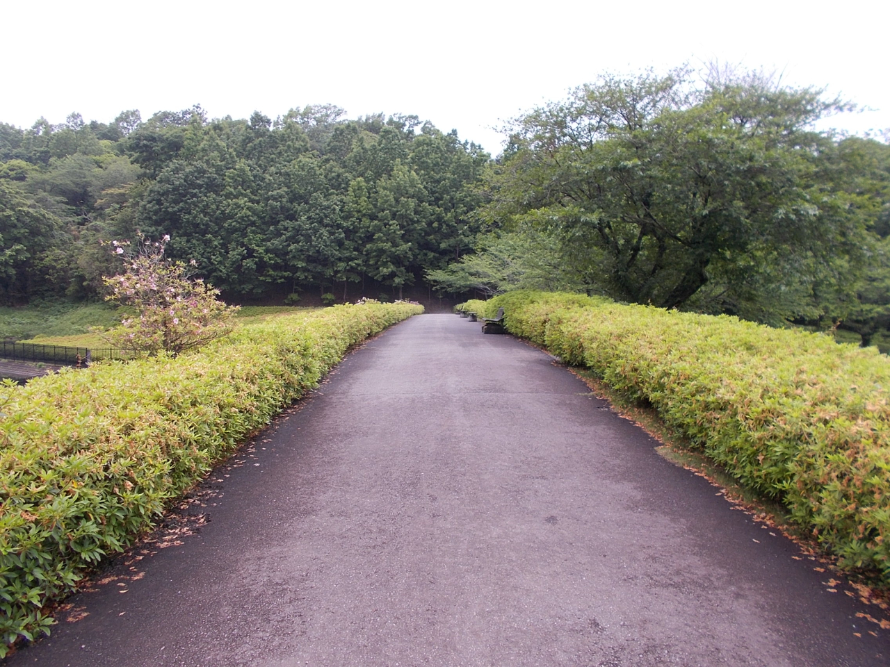 ③